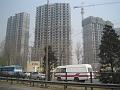 Peking (13)